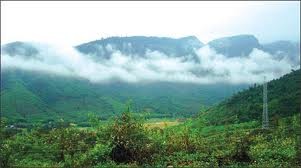ពីការស្តារផ្ទះ Rong គិតអានអំពីការកសាងជនបទថ្មីនៅKon Tum - ảnh 1